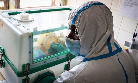 Un scientifique congolais et un scientifique belge récompensés par l’OMS